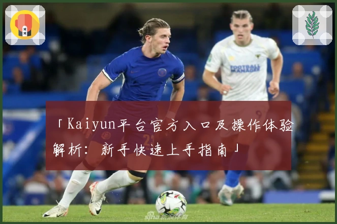 「Kaiyun平台官方入口及操作体验解析：新手快速上手指南」