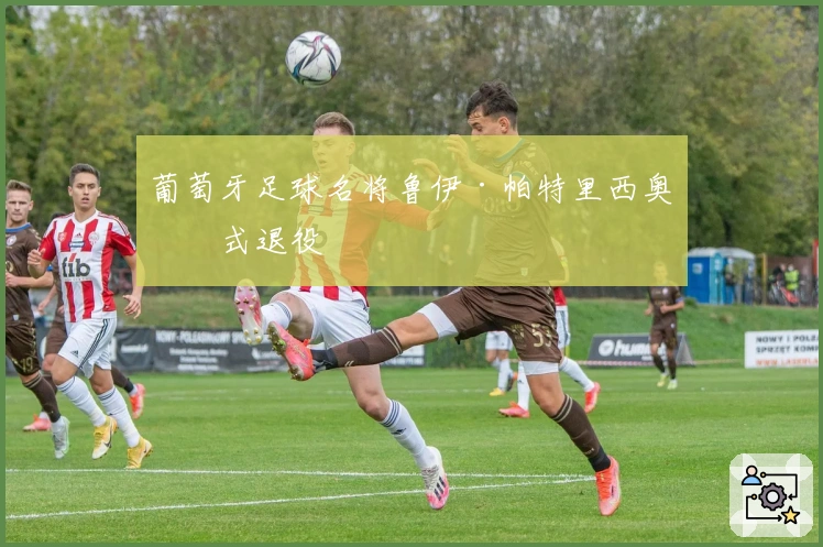 葡萄牙足球名将鲁伊·帕特里西奥正式退役
